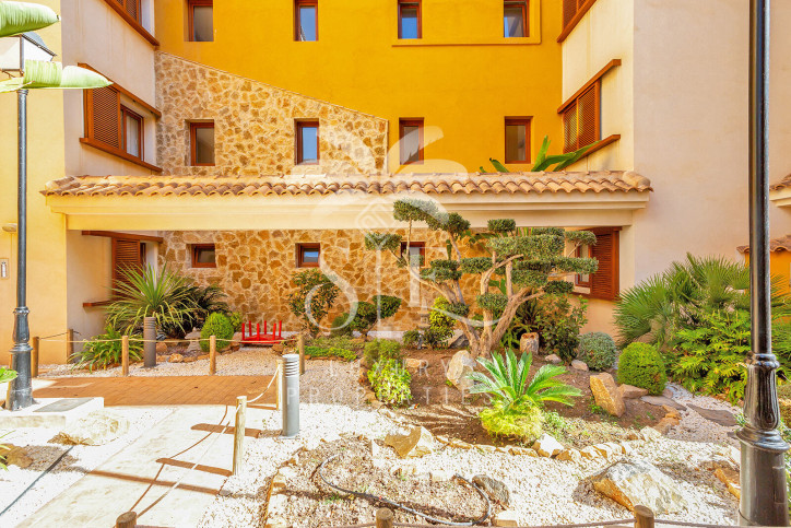 Mieszkanie Sprzedaż Torrevieja- Punta Prima 24