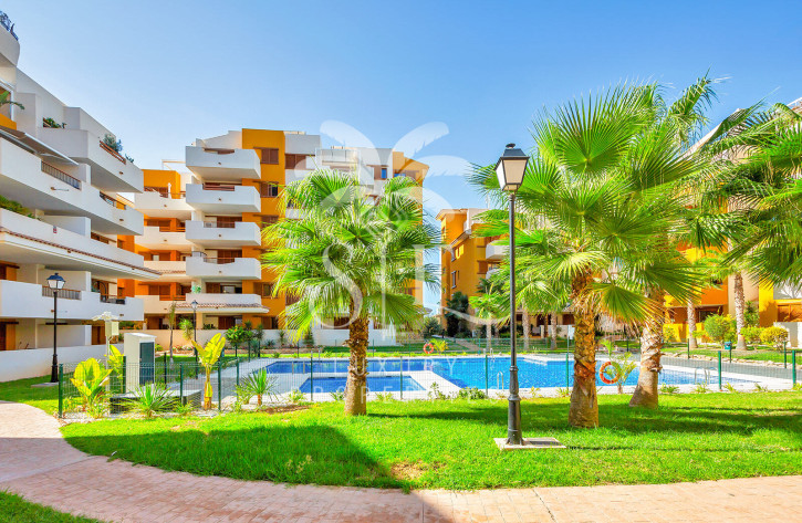 Mieszkanie Sprzedaż Torrevieja- Punta Prima 26