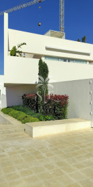 Mieszkanie Sprzedaż Torrevieja
