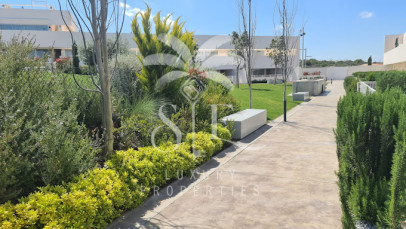 Mieszkanie Sprzedaż Torrevieja
