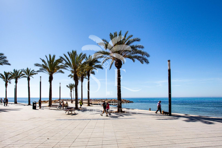 Mieszkanie Sprzedaż Torrevieja 43