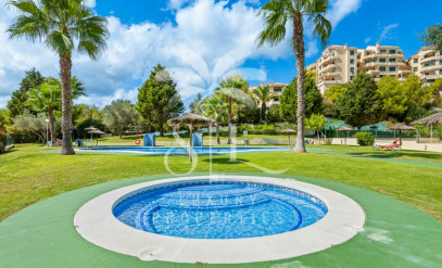 Mieszkanie Sprzedaż Campoamor Golf