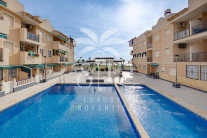 Mieszkanie Sprzedaż Torrevieja