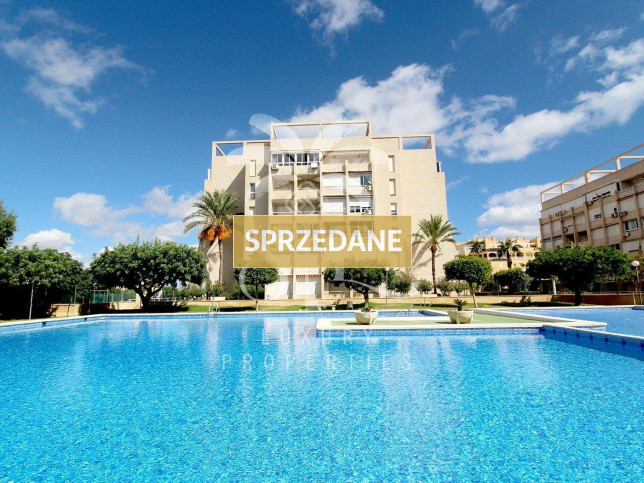 Mieszkanie Sprzedaż Torrevieja 1