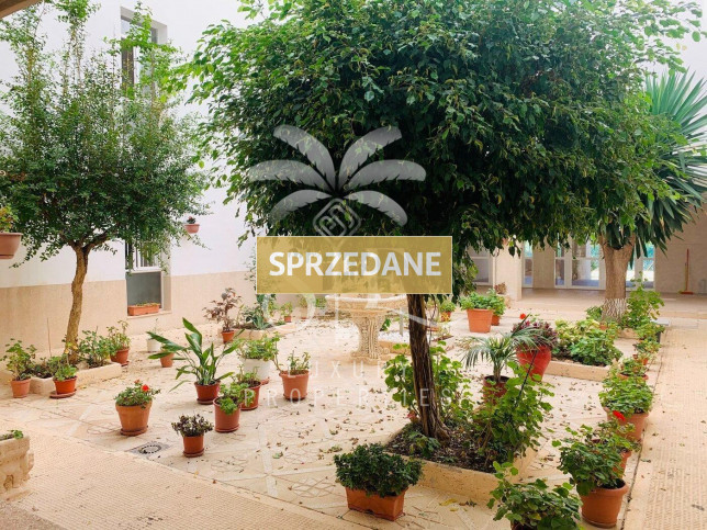 Mieszkanie Sprzedaż Torrevieja 20