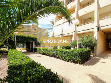 Mieszkanie Sprzedaż Torrevieja