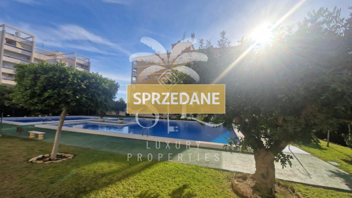Mieszkanie Sprzedaż Torrevieja 24