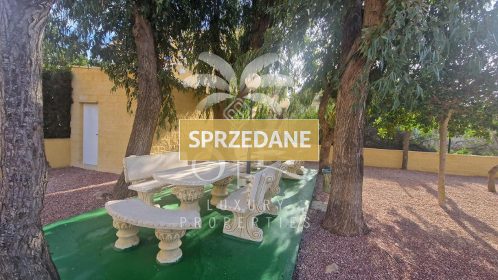 Mieszkanie Sprzedaż Torrevieja 26