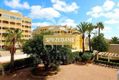 Mieszkanie Sprzedaż Torrevieja