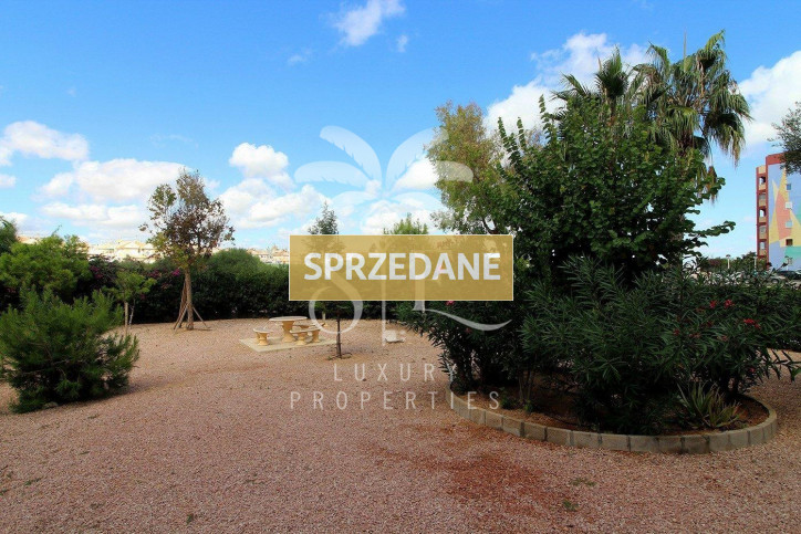 Mieszkanie Sprzedaż Torrevieja 31