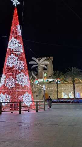 Mieszkanie Wynajem Santa Pola 29