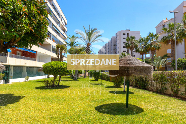 Mieszkanie Sprzedaż Torrevieja 4