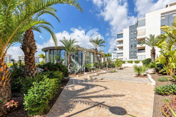 Mieszkanie Sprzedaż Orihuela Costa 3