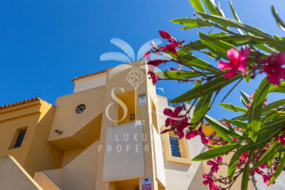 Mieszkanie Sprzedaż Torrevieja