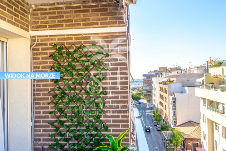 Mieszkanie Sprzedaż Torrevieja 2