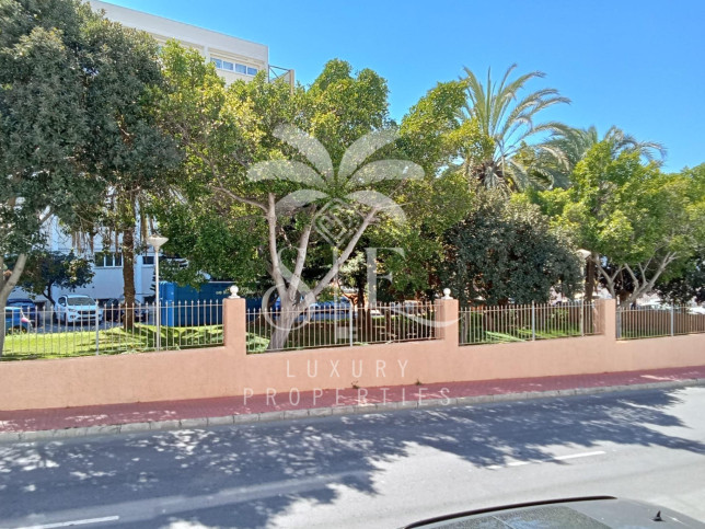 Mieszkanie Sprzedaż Torrevieja 25