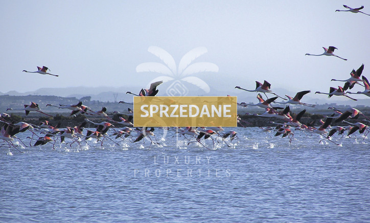 Mieszkanie Sprzedaż Gran Alacant 39